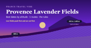 Provence lavender fields cover graphic: violet rows stepping up from the Valensole plateau at 590 metres to Sault and Albion at 650 to 1,400 metres, best dates by altitude and five routes